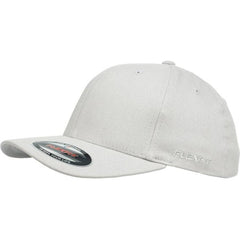 Flexfit Worn By The World Stretch Fit Cap - Silver / Silver UV